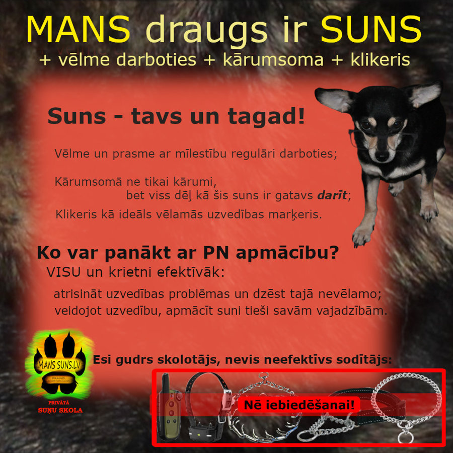 Manssuns Sunu Skola Mans Suns