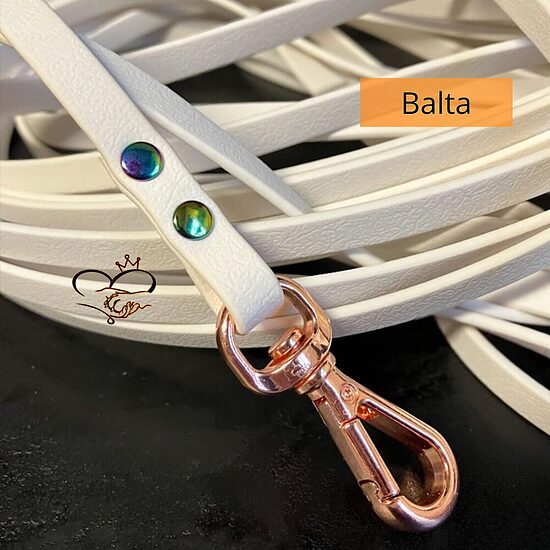 Brīvo Pastaigu pavada, zelta
