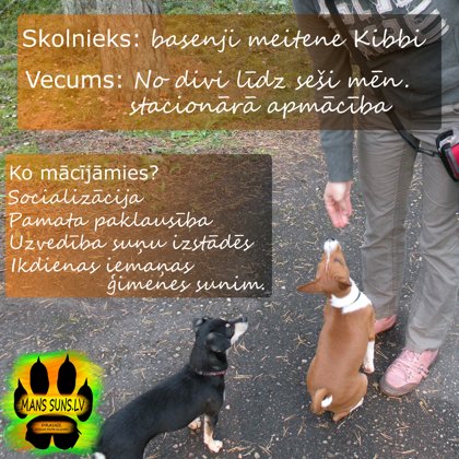Kibbi