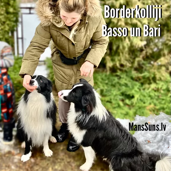 Basso un Bari
