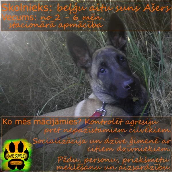 Ašers