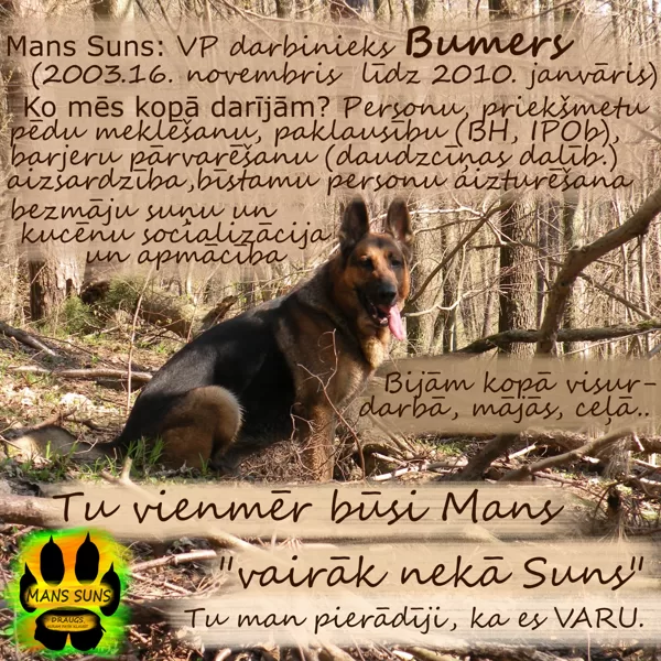 Bumers- Vairāk nekā suns (16.11.2003.- 15.01.2010.)