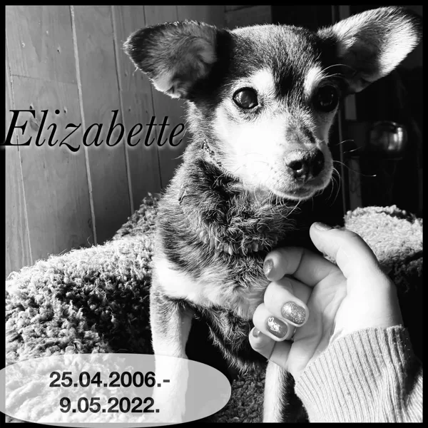 Elizabete- mana mazā spalvainā mīlestība (25.04.2006.-09.05.2022.)
